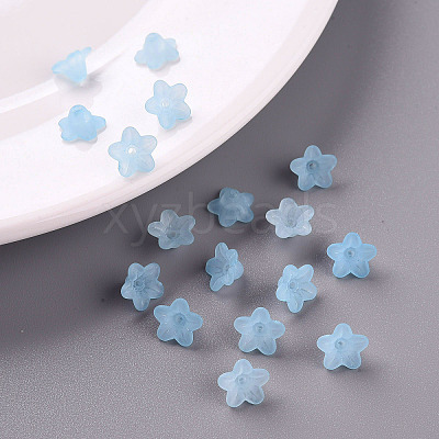 Transparent Acrylic Beads PL554-12-1