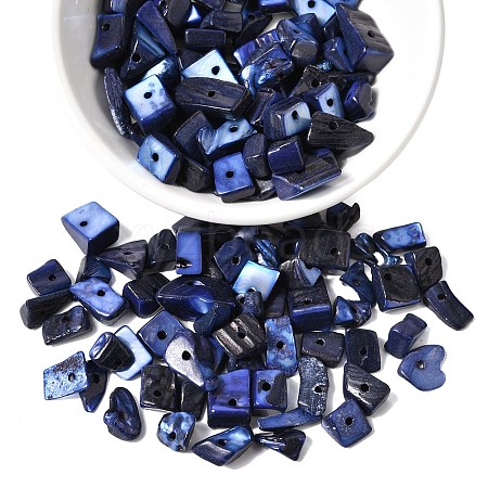 Dyed Natural Freshwater Shell Chips Beads SHEL-O001-12C-1