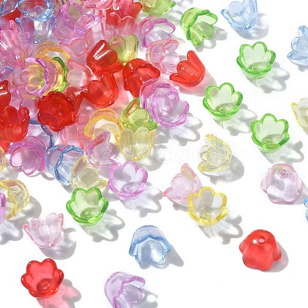 Transparent Acrylic Bead Caps MACR-CJC0006-01-1