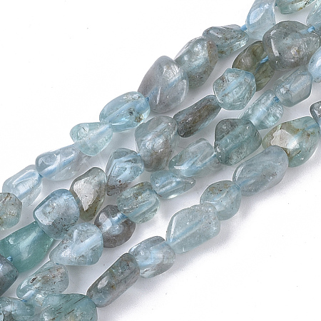 Natural Apatite Beads Strands G-S363-046B-1
