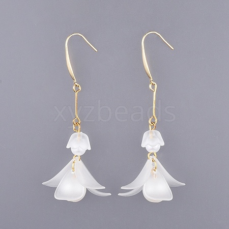 Frosted Transparent Acrylic Dangle Earrings EJEW-JE03384-1