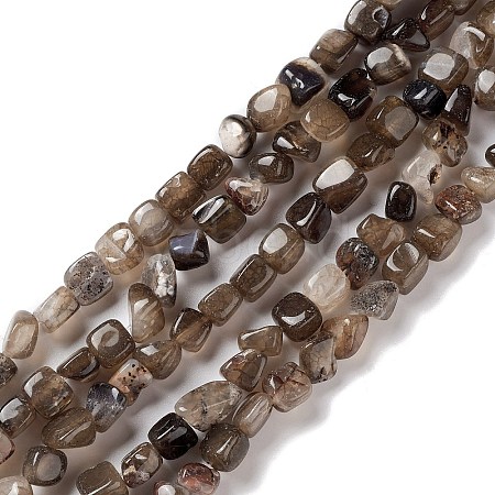 Natural Agate Beads Strands G-F745-03-1