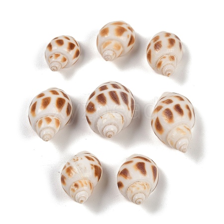 Natural Spiral Shell Beads SHEL-K009-17D-1