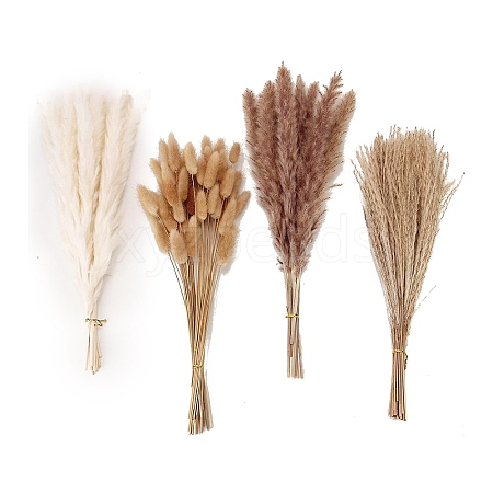 Mini Dried Pampas Grass HULI-PW0002-112B-1