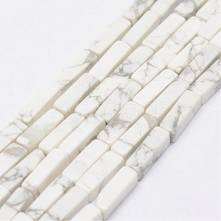 Natural Howlite Beads Strands G-E342-15-1