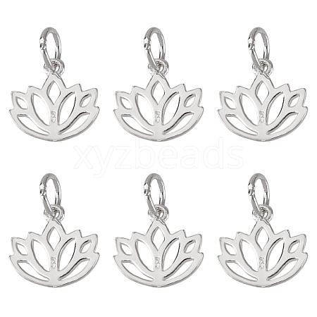 6Pcs Hollow 925 Sterling Silver Charms STER-DR0001-35-1