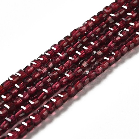 Natural Garnet Beads Strands G-B026-09-1