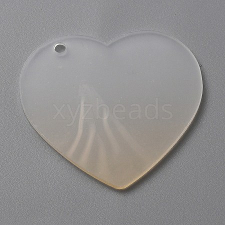 Gradient Transparent Acrylic Disc Big Pendants LS-FIND-WH0032-54D-1
