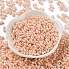 Glass Seed Beads SEED-L011-04A-15-2