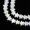 Natural Freshwater Shell Beads Strands LS-SHEL-S278-01A-01-3