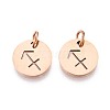 304 Stainless Steel Charms STAS-Q201-T445-9R-1