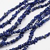 Chips Natural Lapis Lazuli Beads Strands G-N0164-46-1