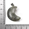Natural Labradorite Pendants G-F820-02C-3