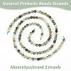 Olycraft 2 Strands Natural Prehnite Beads Strands G-OC0004-73-4