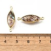 Brass Pave Natural Paua Shell Connector Charms KK-E794-01G-06-3