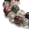 Natural Four Seasons Lodolite Quartz Beads Strands G-Z063-A02-03-4