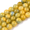 Dyed Natural White Jade Beads Strands G-T138-10mm-210-26-4