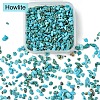 50G Natural Howlite Chip Beads G-YW0001-81-1