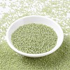 MIYUKI Round Rocailles Beads SEED-G007-RR0378-2