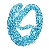 Transparent Glass Beads Strands GLAA-L050-A11-2