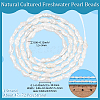 1 Strand Natural Cultured Freshwater Pearl Beads Strands PEAR-PA0001-14-2