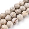 Natural Maifanite/Maifan Stone Beads Strands X-G-I187-8mm-01-4