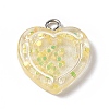 Transparent Resin Pendants RESI-C029-01A-1