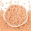 Baking Paint Glass Seed Beads SEED-L011-09A-12-2