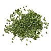Cylinder Glass Seed Beads GLAA-NH0005-01H-2