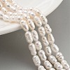 Natural Cultured Freshwater Pearl Beads Strands PEAR-P062-06B-2