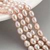 Natural Cultured Freshwater Pearl Beads Strands PEAR-P062-06D-1-2