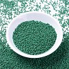 MIYUKI Delica Beads X-SEED-J020-DB2127-2