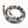 Natural African Bloodstone Beads Strands G-G735-32-8mm-2
