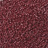MIYUKI Delica Beads X-SEED-J020-DB2119-3