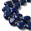 Natural Lapis Lazuli Beads Strands X-G-E614-A05-01-3