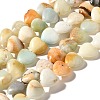 Natural Flower Amazonite Beads Strands G-R190-10mm-59-2