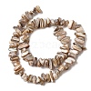 Natural Freshwater Shell Beads Strands X-SHEL-A006-05-2