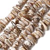 Natural Freshwater Shell Beads Strands SHEL-A006-05-1