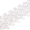 Natural Quartz Crystal Beads Strands G-P570-E21-01-2