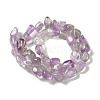 Natural Amethyst Beads Strands G-B078-D21-01-3