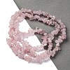 Natural Rose Quartz Beads Strands G-O049-B-36-7