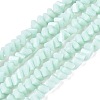 Opaque Glass Beads Strands GLAA-N019-3mm-14-1