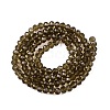 Glass Beads Strands EGLA-A034-T10mm-D16-3