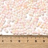 Baking Paint Glass Seed Beads SEED-F005-01A-02-4