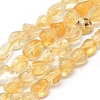 Natural Citrine Beads Strands X-G-P331-03A-1