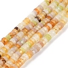 Natural Xiuyan Jade Beads Strands G-C084-D14-01-1