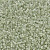 MIYUKI Delica Beads SEED-J020-DB1765-3