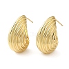 Rack Plating Brass Shell Shape Stud Earrings for Women EJEW-Z019-20G-1