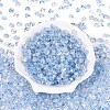 Baking Paint Transparent Glass Beads DGLA-T004-07D-1