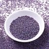MIYUKI Delica Beads SEED-MY11-DB0869-2
